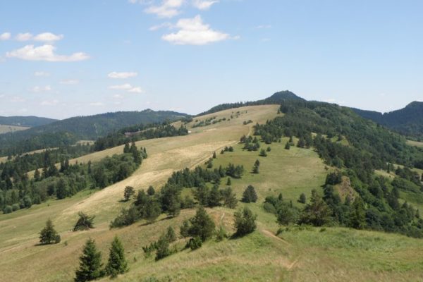 P7112458
