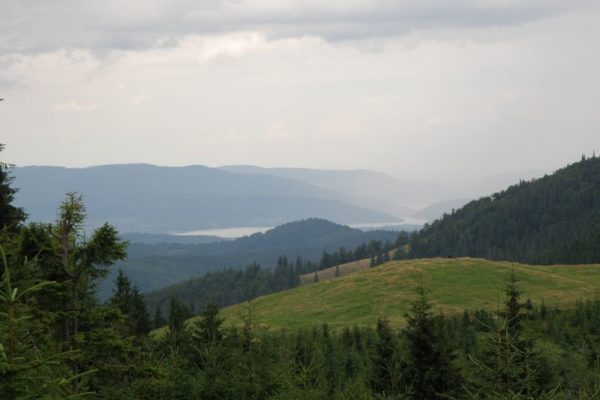 P7302655