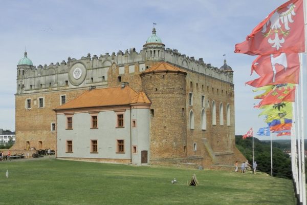 Golub Dobrzyń