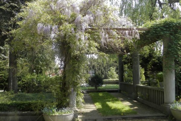 Ogród Botaniczny UKW